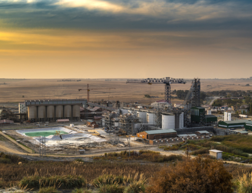 Elikhulu, and The Value Of Tailings