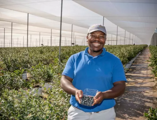 Empowering Growth: Pan African Resources’ Community and Employee Investments